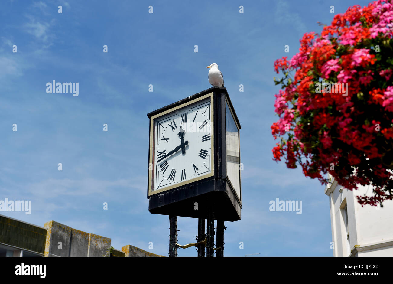 Worthing West Sussex Regno Unito - Orologio dal centro Guildbourne con seagull appollaiato sulla cima Foto Stock