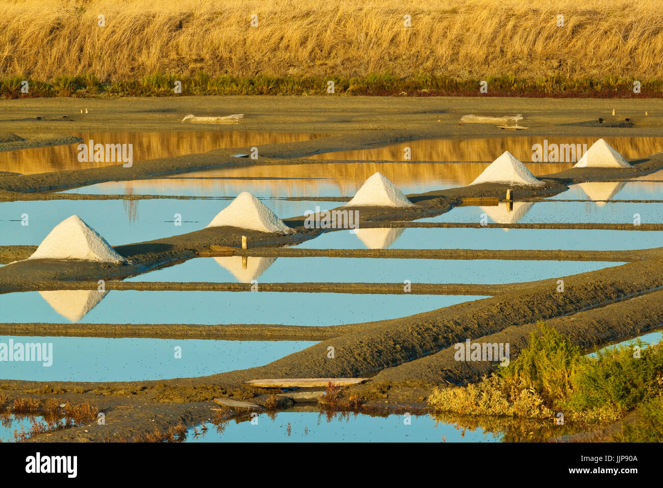 Saline e pile di 'Fleur de Sel' intorno il Fier d Ars paludi dell'occidente. Ars en Ré; Ile de Ré; Charente-Maritime; Francia Foto Stock