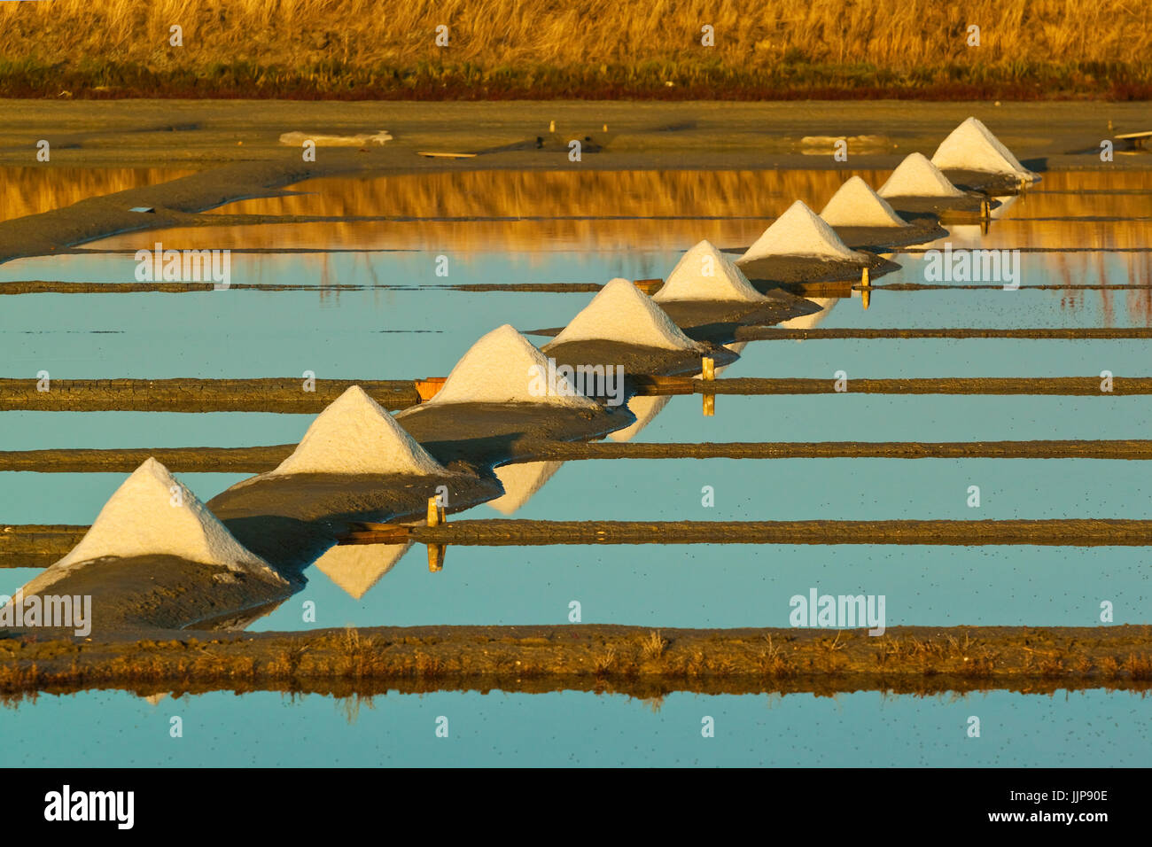 Saline e pile di 'Fleur de Sel' intorno il Fier d Ars paludi dell'occidente. Ars en Ré; Ile de Ré; Charente-Maritime; Francia Foto Stock