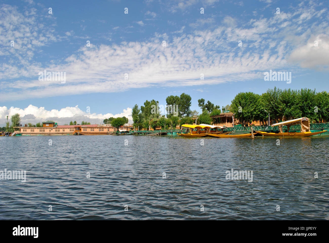 Dal lago, Srinagar, Jammu e Kashmir India Foto Stock