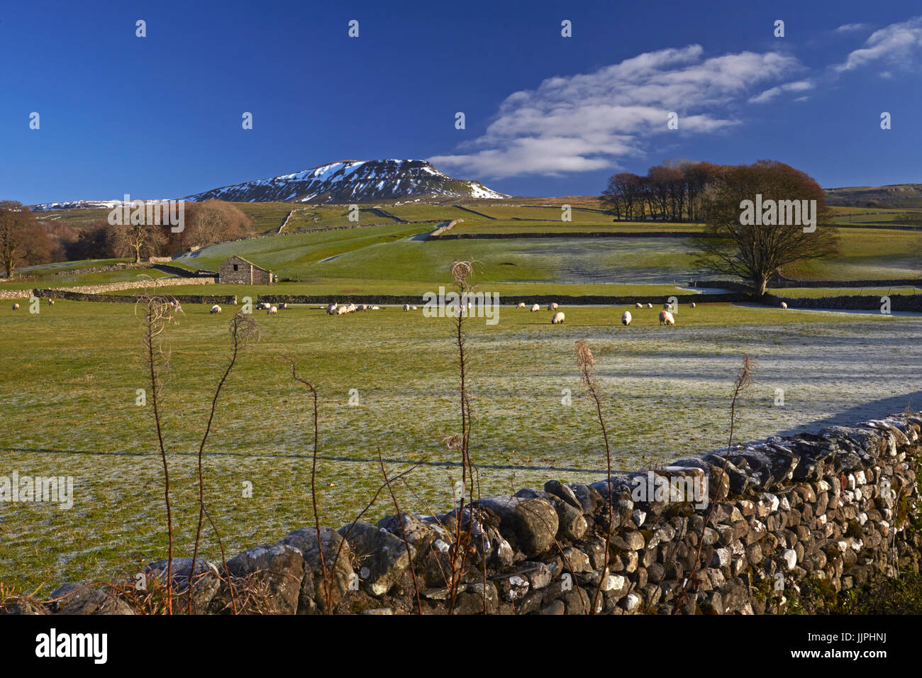 Penyghent visto da Horton in Ribblesdale. Foto Stock