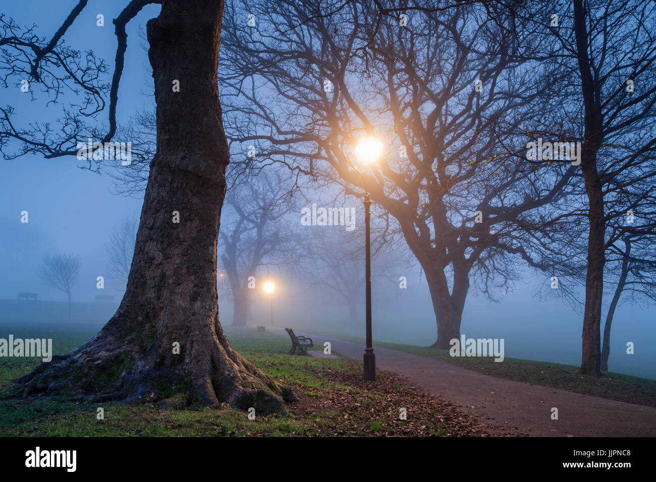 Foggy inverno sera presso la Queen's Park in Brighton. Foto Stock
