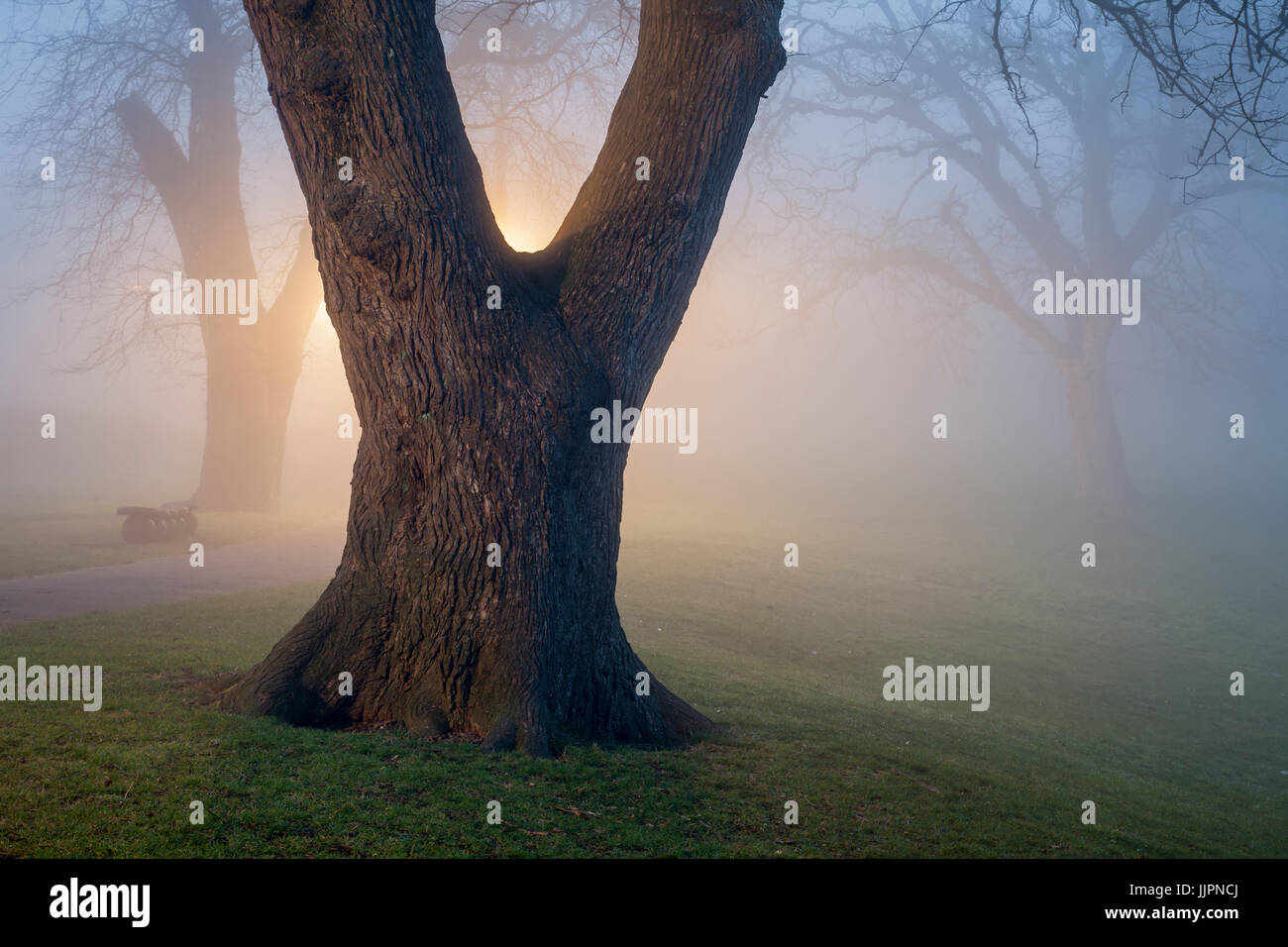 Foggy inverno sera presso la Queen's Park in Brighton. Foto Stock
