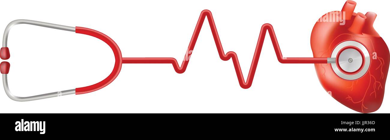 Il cuore umano e della frequenza cardiaca su ECG con uno stetoscopio isolato su uno sfondo bianco. Realistico illustrazione vettoriale. Illustrazione Vettoriale