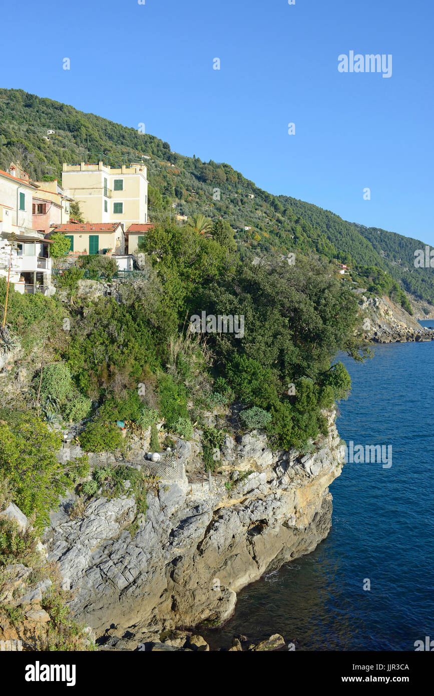 Scorcio, Tellaro village, Golfo dei Poeti Il Golfo, promontorio Montemarcello Magra, La Spezia; Liguria, Italia, Europa Foto Stock