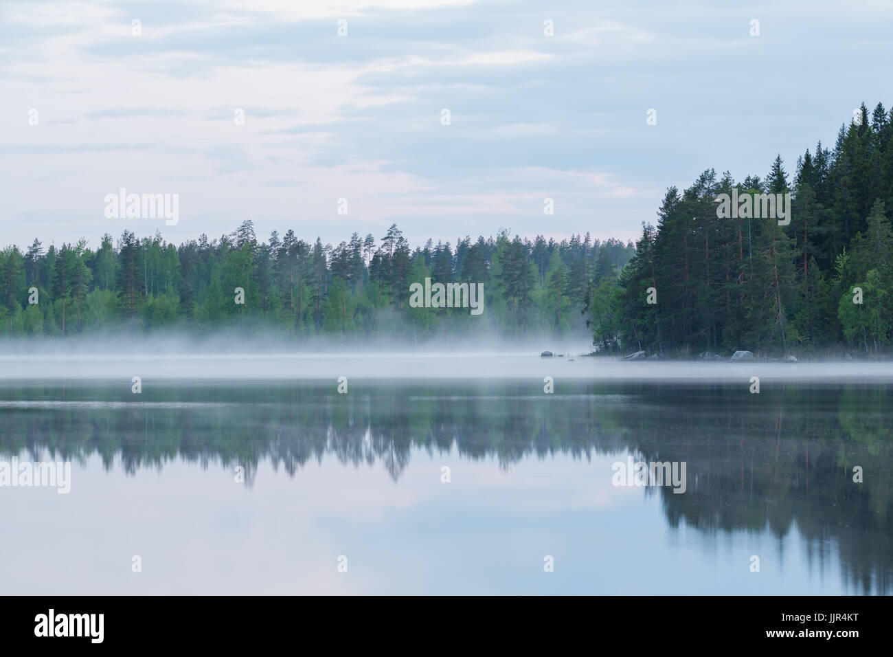 La nebbia lago calmo e foresta a notte estiva Foto Stock