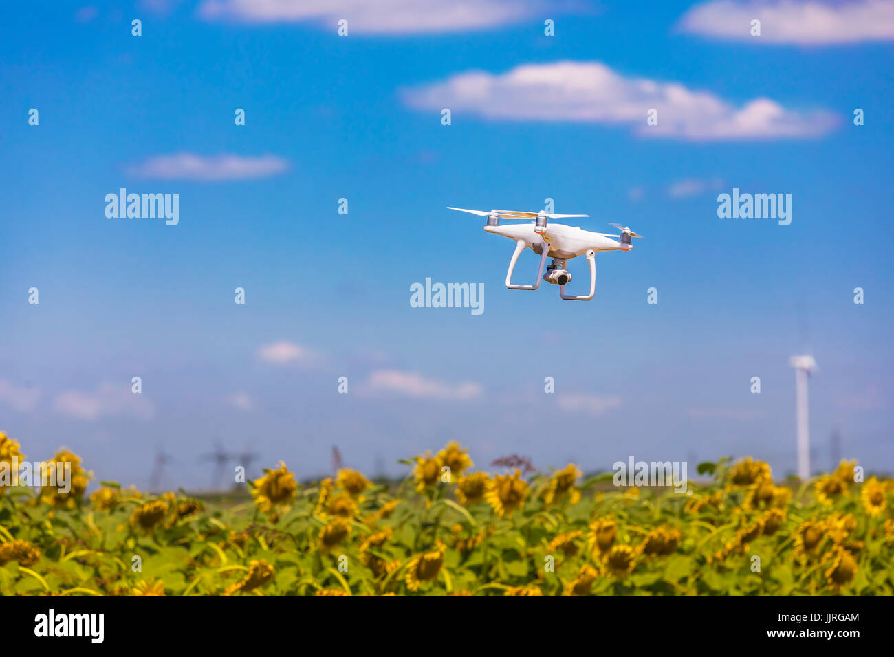 Drone passando sul campo di semi di girasole in azzurro del cielo in parte nuvoloso Foto Stock