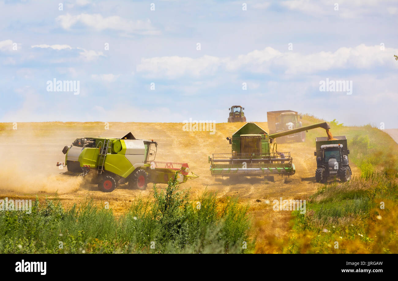 Mietitrebbia in azione sul campo di grano. Palouse stagione di raccolto. Focus sulla mietitrebbia verde! Foto Stock