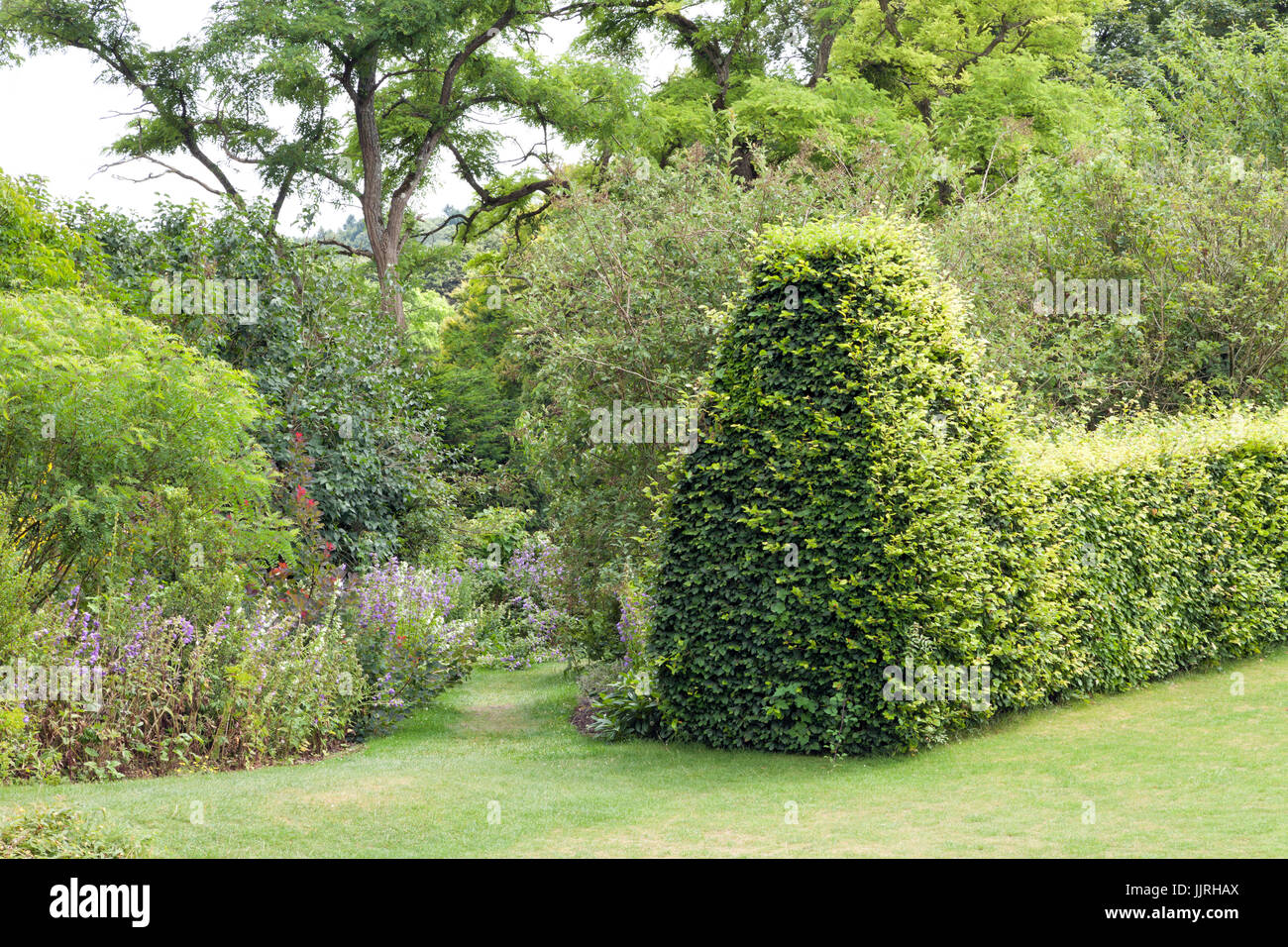 Giardino percorso a piedi tra fiori colorati, arbusti e rifilando hedge . Foto Stock