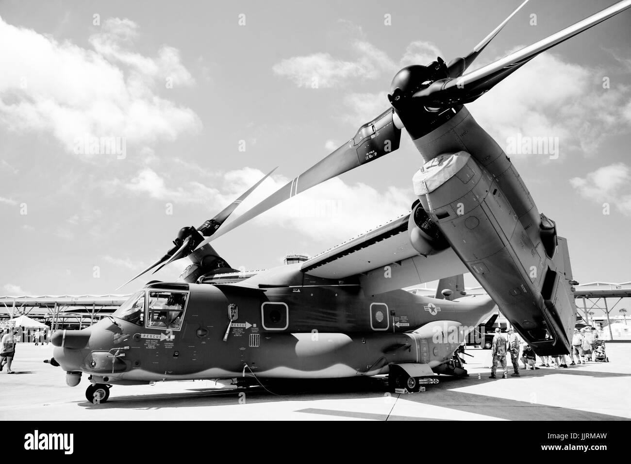 Osprey sul display in corrispondenza di un'esibizione aerea. Foto Stock