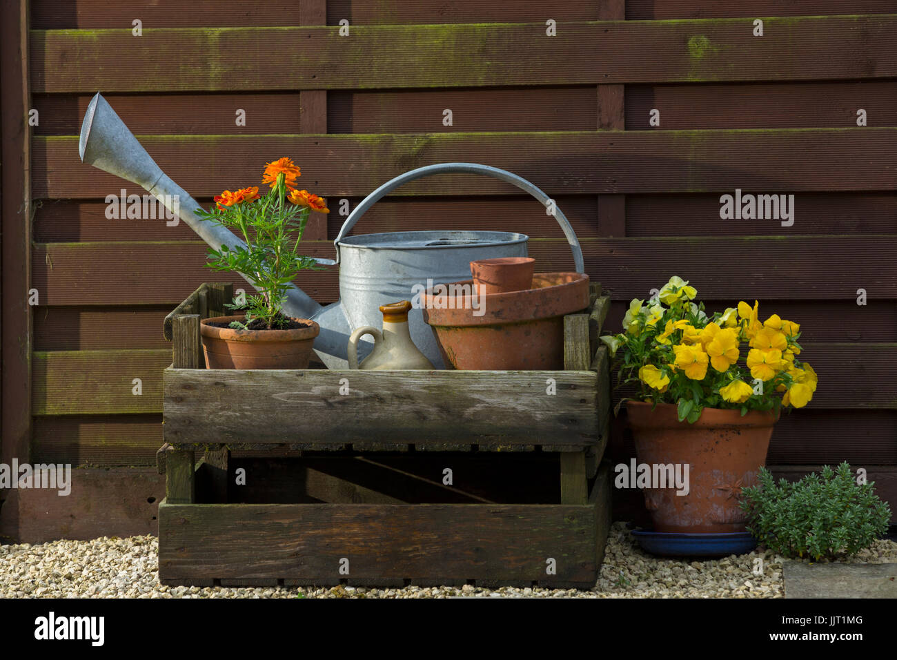 Fiori e vasi in un giardino cottage. Foto Stock