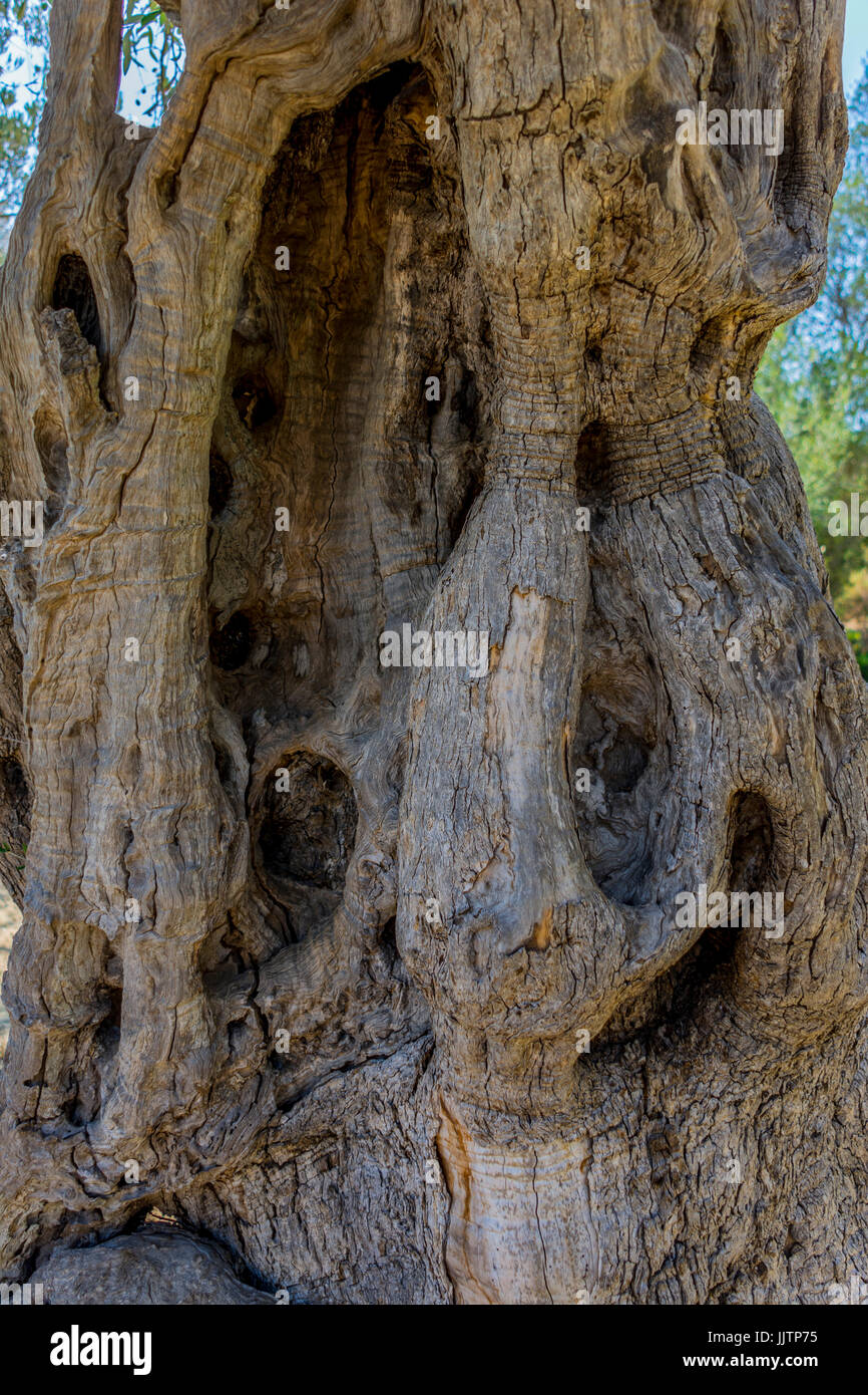 Agrigento, Sicilia, Italia Foto Stock