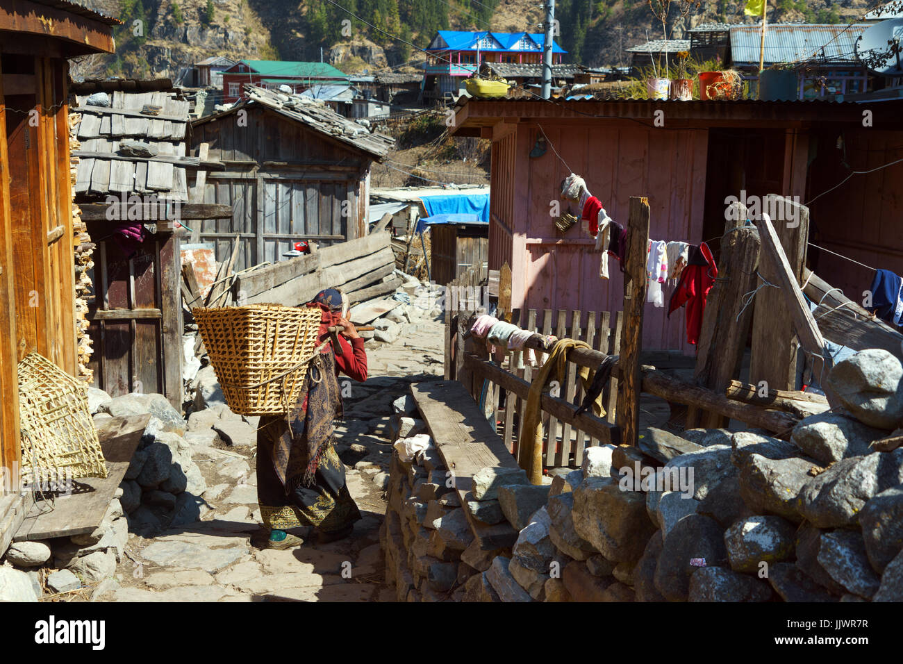 Donna locale che trasportano il compost in un cesto di vimini nel villaggio di thanchok sul circuito di Annapurna, Nepal. Foto Stock