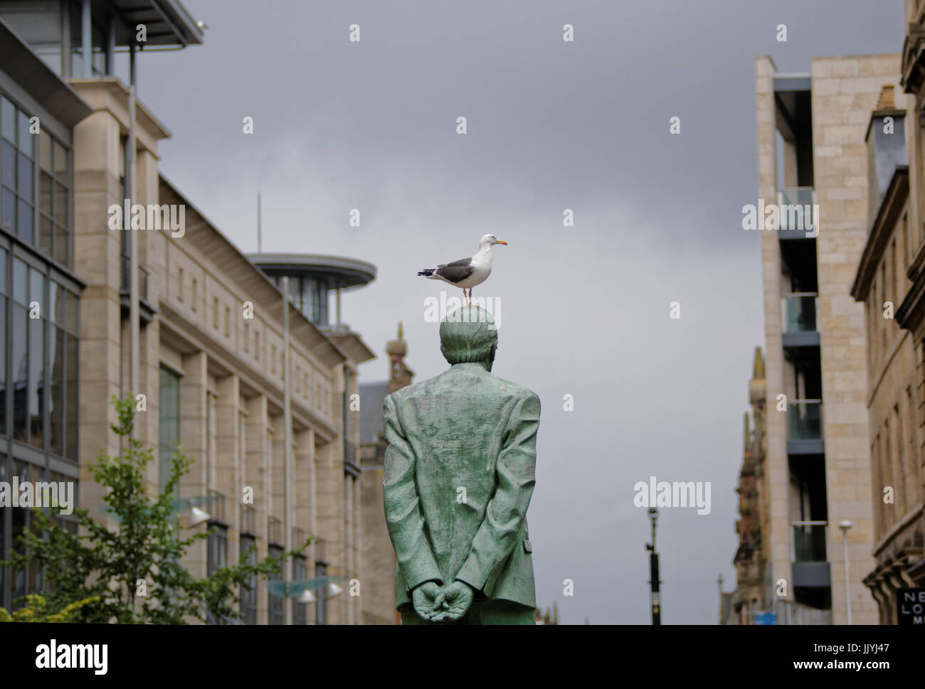 Donald Dewar statua in cima di Buchanan Street Glasgow con un gabbiano om la sua testa close up irriverenza per i politici Foto Stock