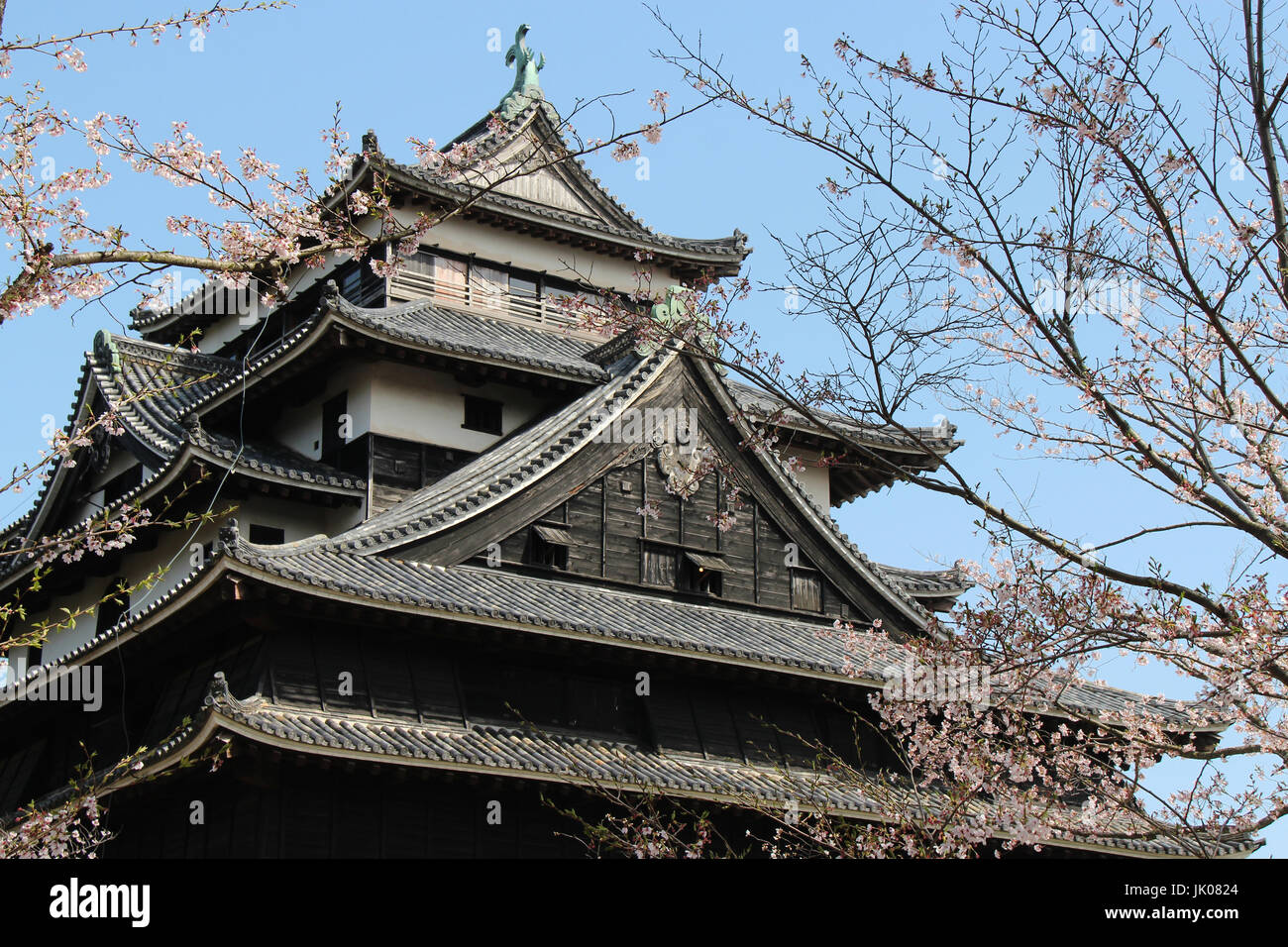 Matsue castello di Matsue (Giappone). Foto Stock