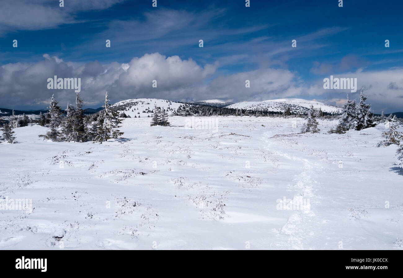 Panorama di inverno Jeseniky montagne con Bridlicna hora, Vysoka foro, Praded e altre colline da Pecny hill in Repubblica Ceca Foto Stock