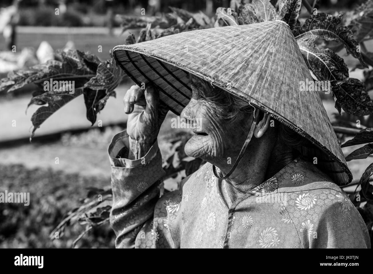 Vecchia Signora vietnamita in un cappello conico a colori - Tra Que - 13 Marzo 2017 Foto Stock