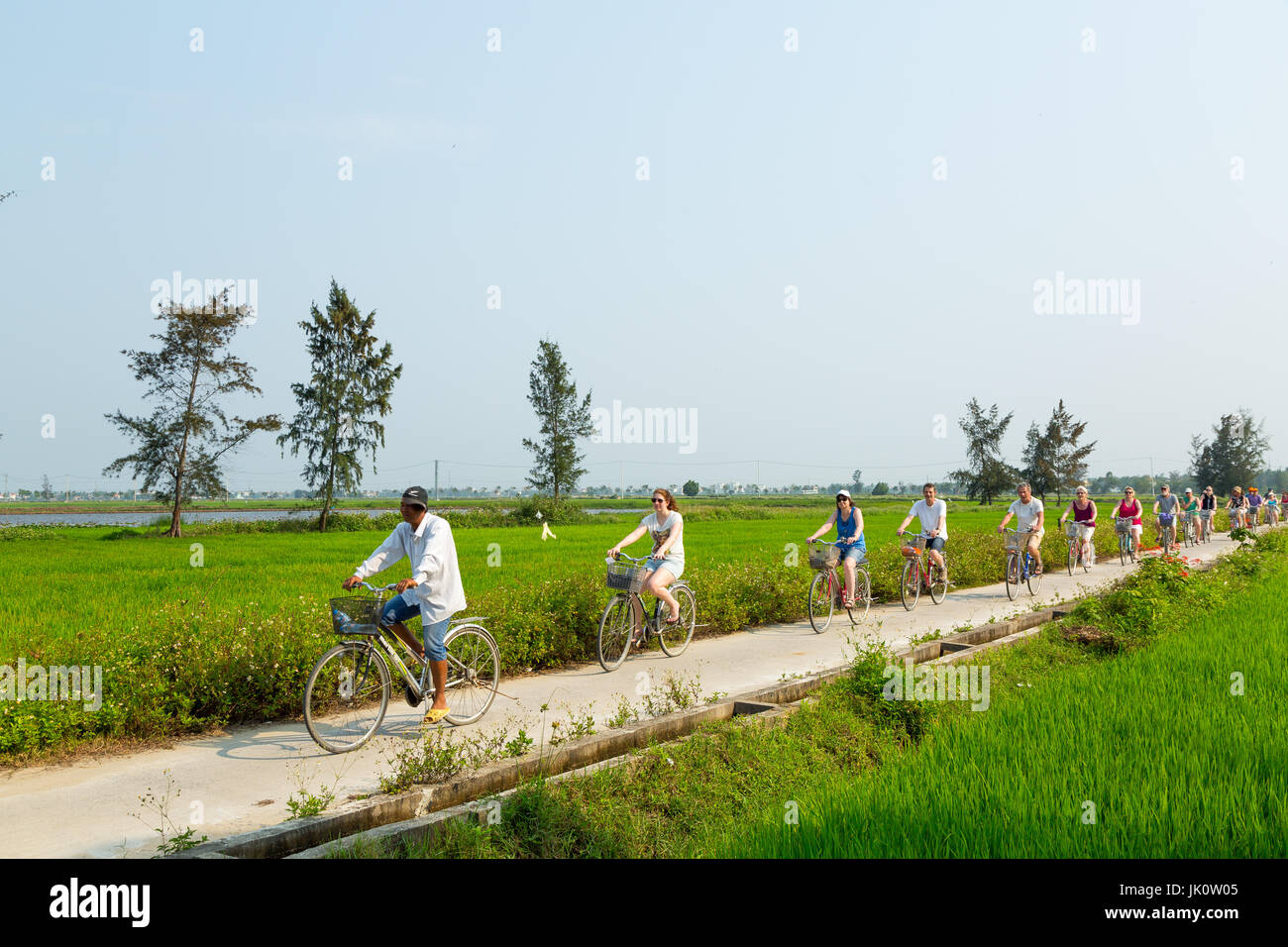 I turisti in bici attraverso le risaie, dietro la loro guida - Vietnam - Marzo 2017 Foto Stock