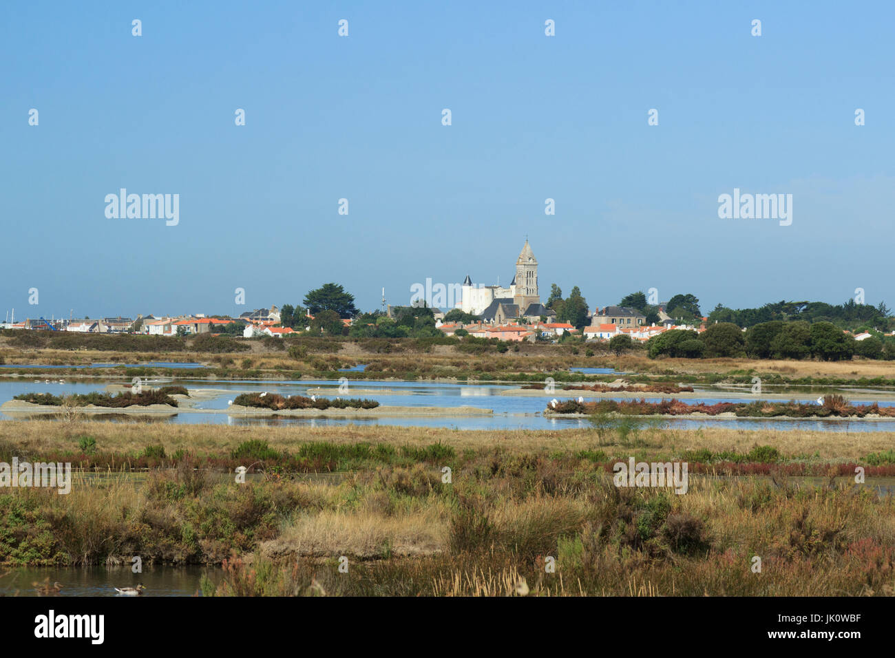 Francia, Vendée (85), île de Noirmoutier, Noirmoutier-en-l'Île, les marais de Müllenbourg, réserve naturelle // Francia, Vendee, isola di Noirmoutier, Foto Stock