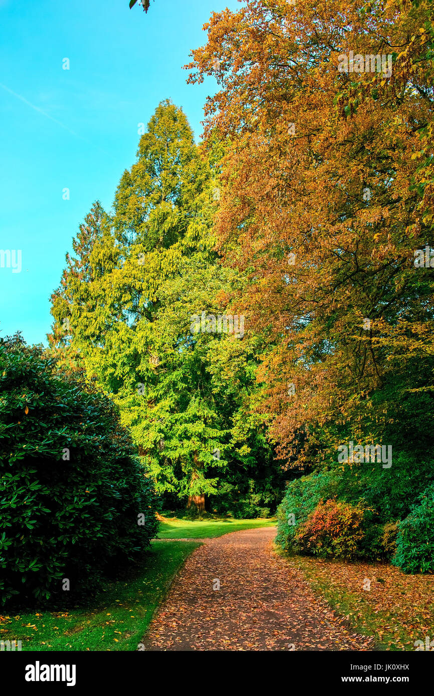 Lontano dal autumnally inclinati uno park, weg durch den herbstlich gestimmten park Foto Stock