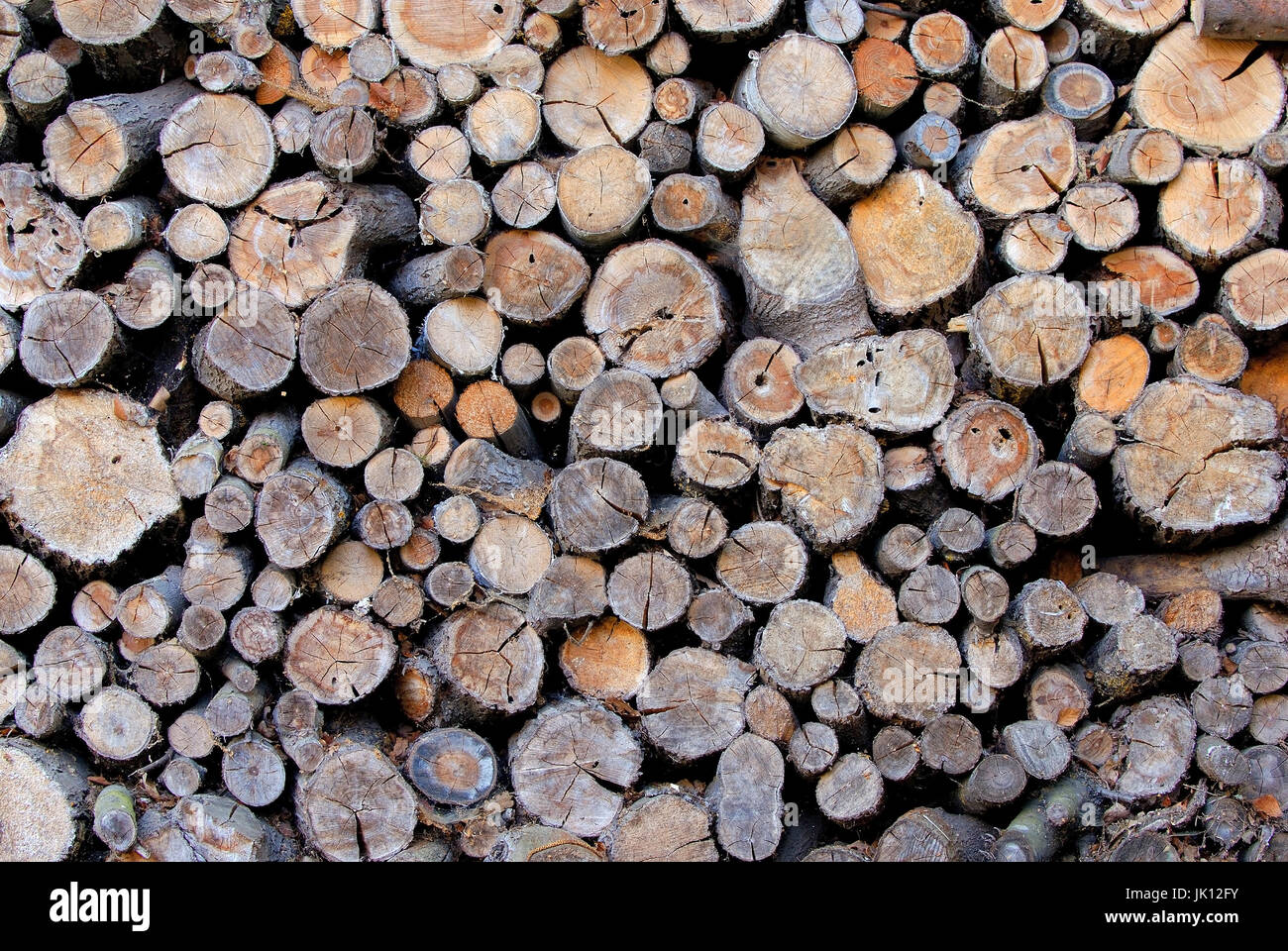 Tronchi di legno in inverno, Holzstaemme im inverno Foto Stock
