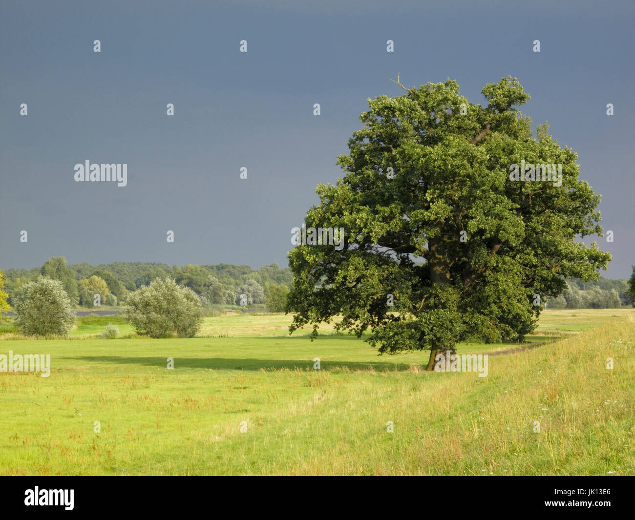 Paesaggio con Hitzacker della vigna, prato Elbtal, Wendland ha, Landschaft Bei Hitzacker vom Weinberg, Elbtalaue Foto Stock