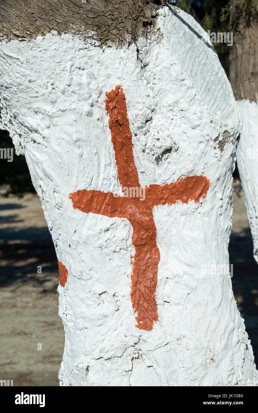 Croce dipinta su un albero accanto ad una chiesa in un modo a Tsambika beach, Rodi, Grecia Foto Stock