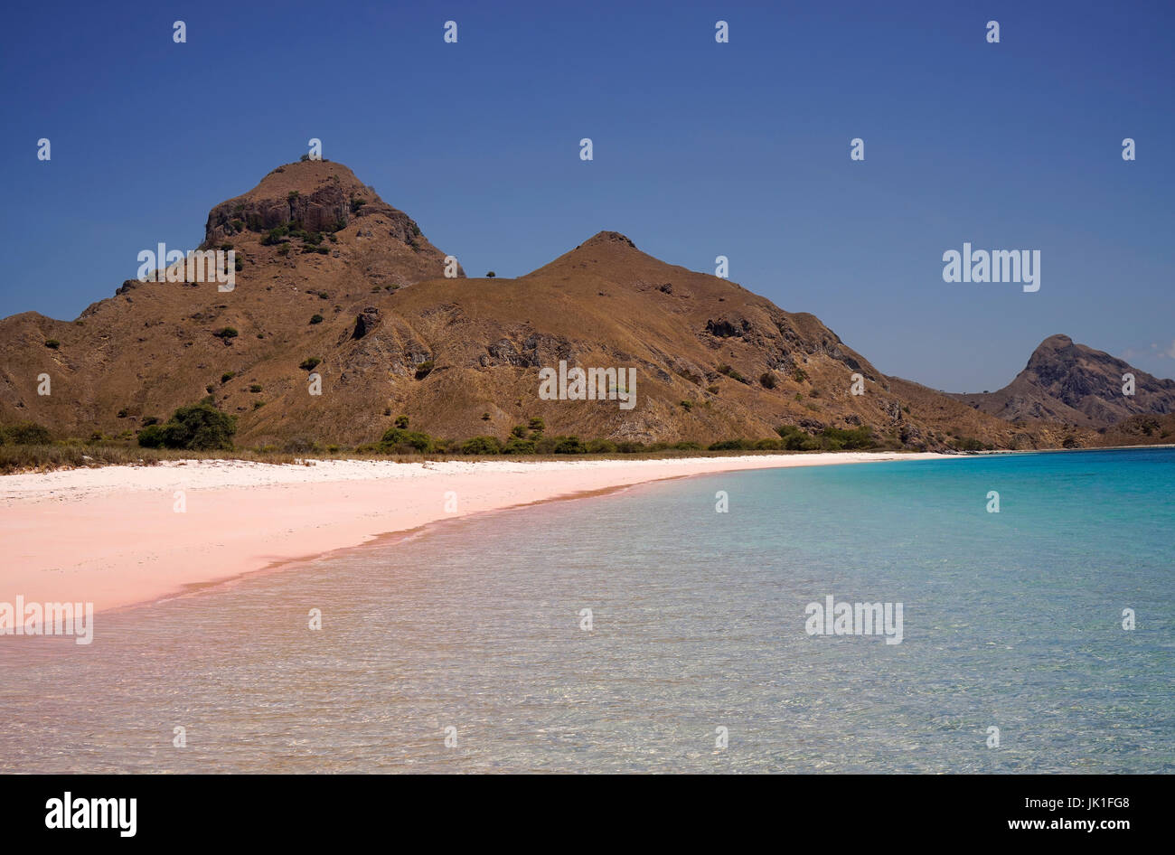 Rosa tropicale sulla spiaggia di sabbia in Flores causato da pezzi di rotture di rosso di colore rosa corallo nell'oceano durante il giorno. Foto Stock