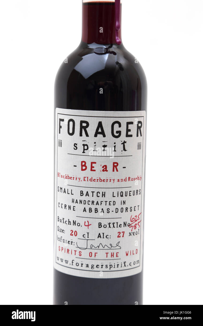Bottiglia di Forager spirito Bear Blackberry, sambuco e rosa canina Liquer dal Cerne Abbas Dorset Foto Stock