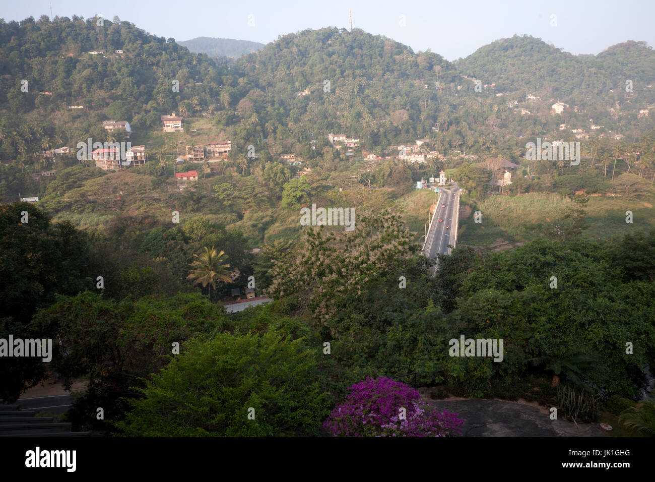 Panoramica della foresta pluviale kandy periferia centrale provincia dello Sri lanka Foto Stock