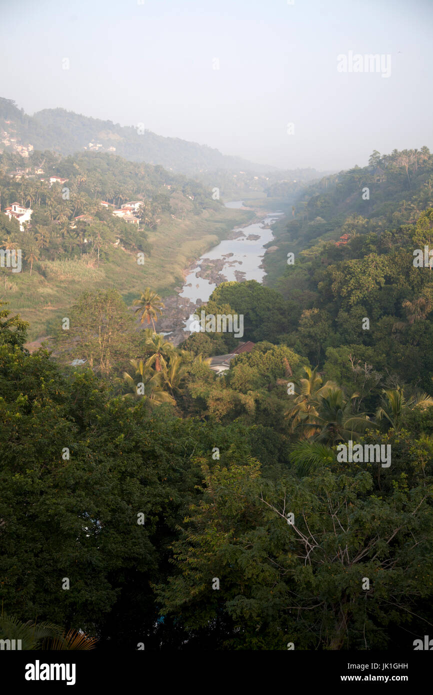 Panoramica della foresta pluviale kandy periferia centrale provincia dello Sri lanka Foto Stock