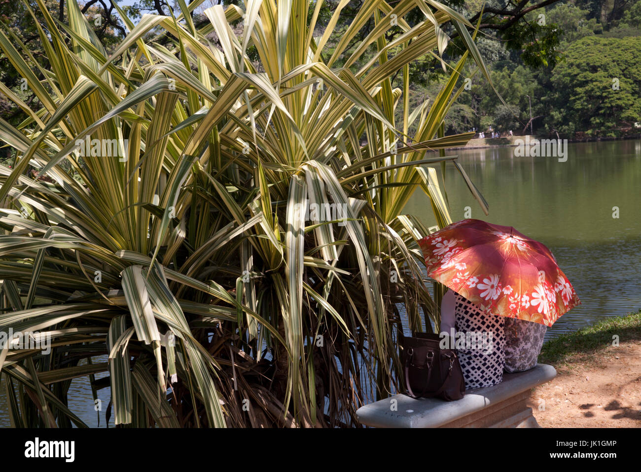 Lago Kandy kandy centrale provincia dello Sri lanka Foto Stock