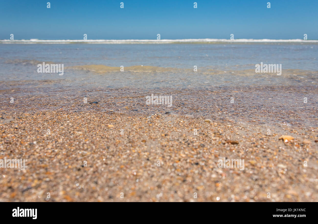 Incontaminato, spiaggia vuota su Amelia Island dove le onde giro delicatamente lungo il mantello ricoperto litorale in Fernandina Beach, Florida. (USA) Foto Stock