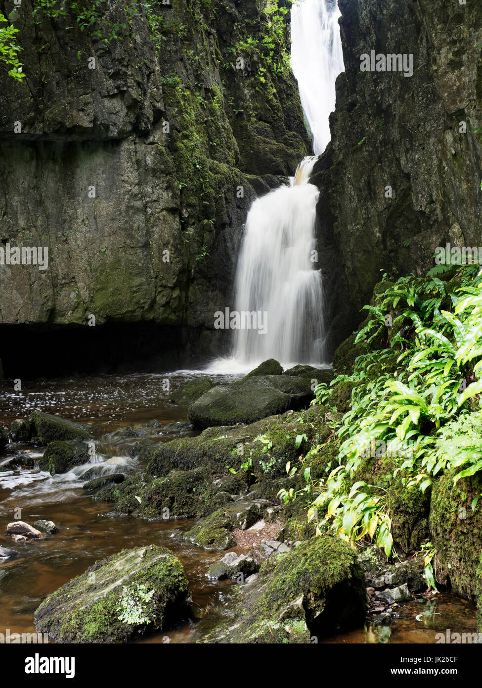 Forza Catrigg cascata vicino Stainforth in Ribblesdale Yorkshire Dales Inghilterra Foto Stock