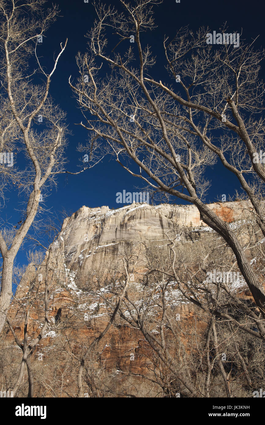 Stati Uniti d'America, Utah, Parco Nazionale Zion, Mountain Vista dal Sion Lodge, inverno Foto Stock