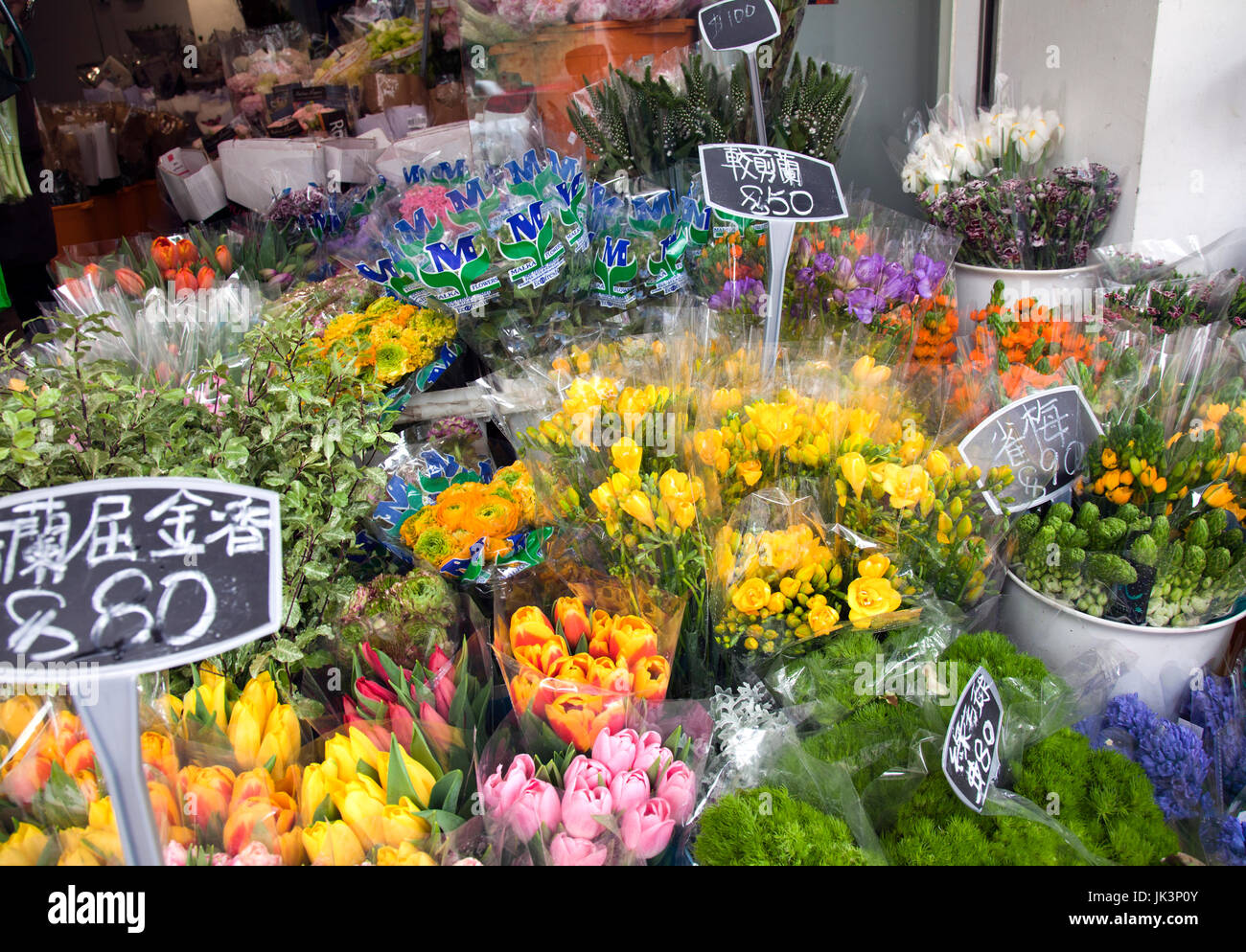 Mercato dei Fiori - Hong Kong, Cina Foto Stock