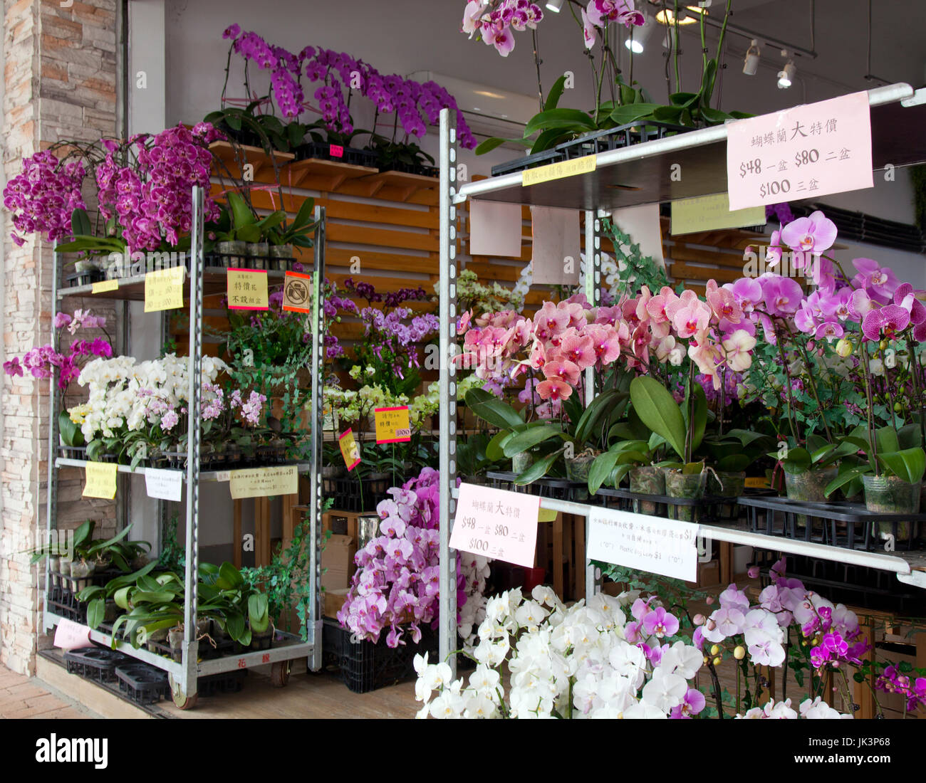 Una enorme varietà di orchidee stuzzicare gli acquirenti a questo negozio di Hong Kong di mercato dei fiori. Foto Stock