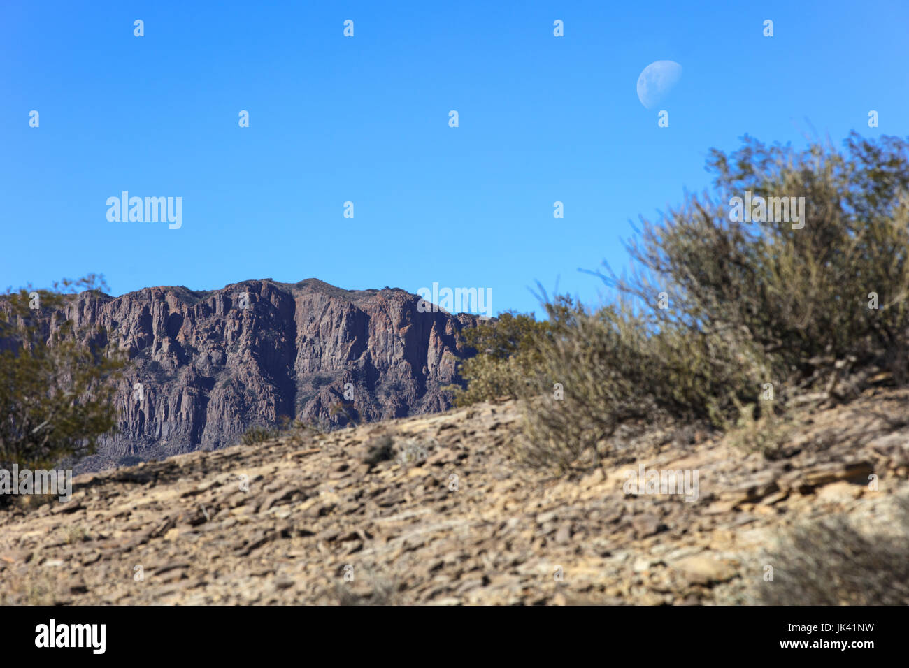 Ischigualasto Parco Provinciale, noto anche come "Doon Valley". San Juan in Argentina. Foto Stock