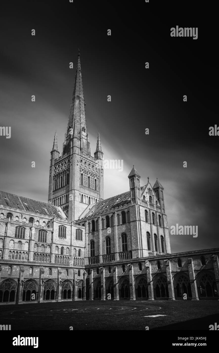 Chiostro di Norwich Cathedral chiesa della Santa e indivisa Trinità, Norfolk, Inghilterra. Foto Stock