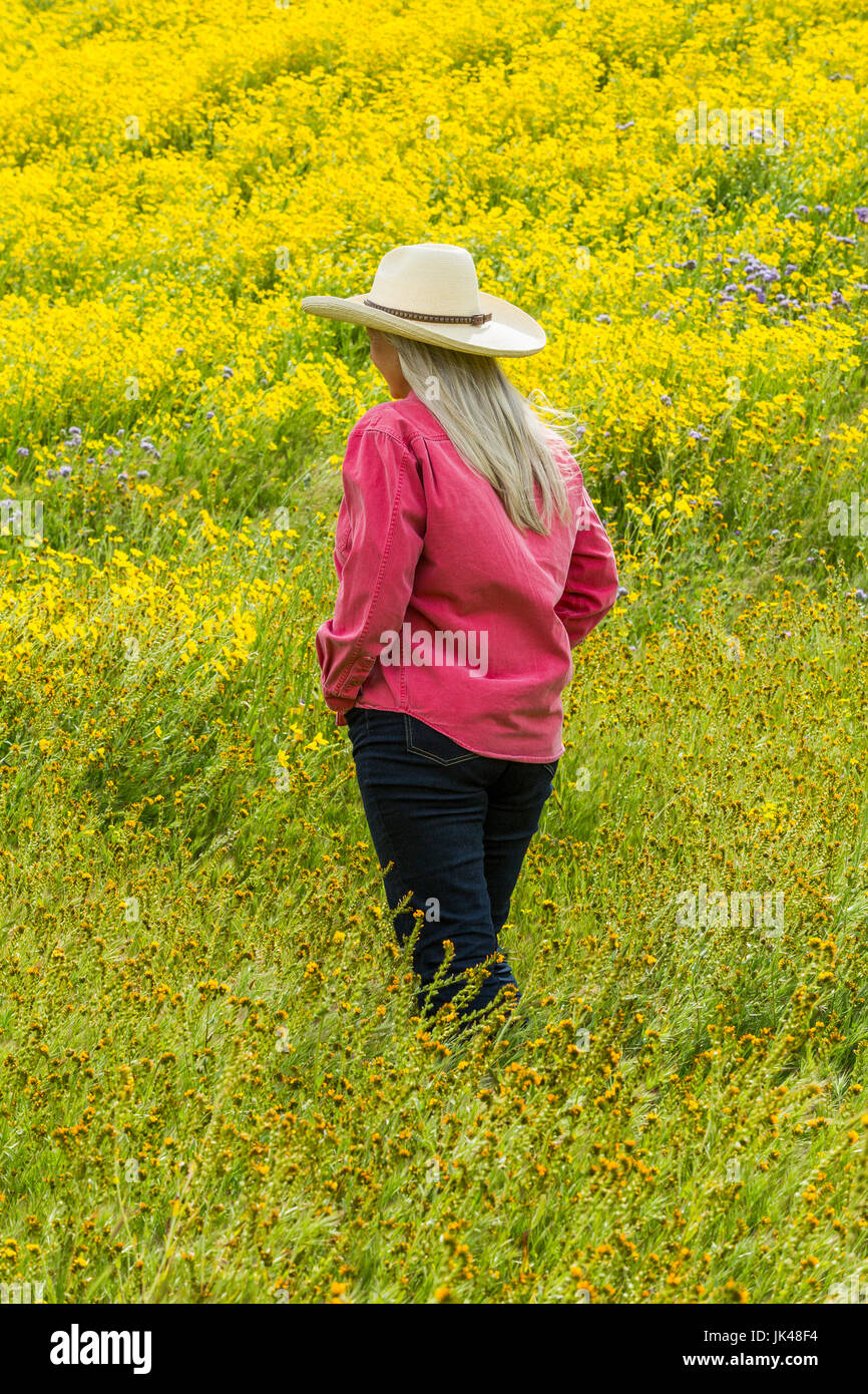 La donna caucasica camminando nel campo dei fiori di colore giallo Foto Stock