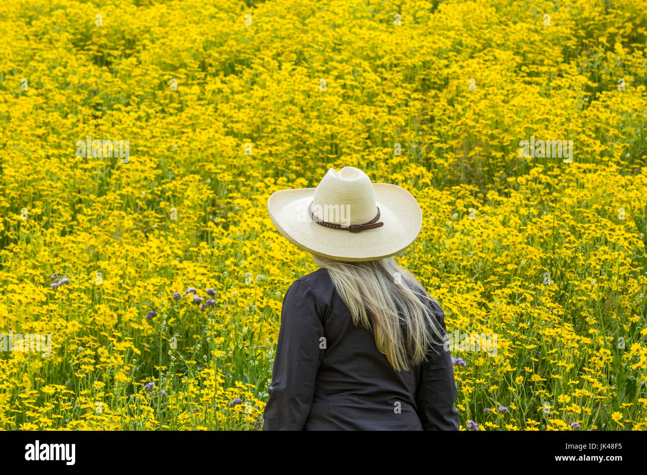 La donna caucasica nel campo dei fiori di colore giallo Foto Stock