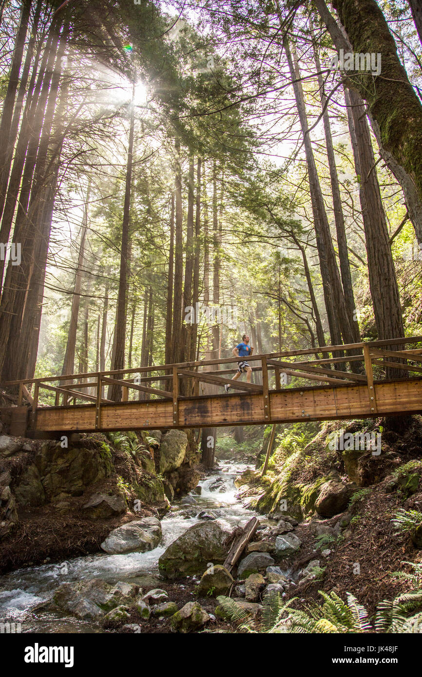 Uomo caucasico in esecuzione sul ponte sul torrente di foresta Foto Stock