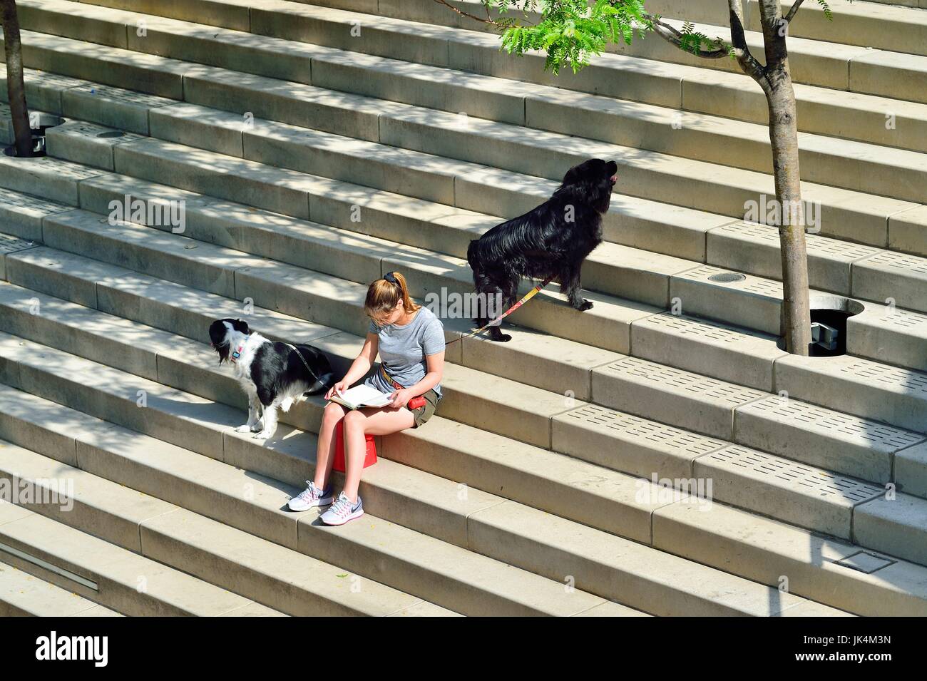 Una donna messa in pausa dal camminare cani per rilassarsi e godere di un libro al riverwalk lungo il fiume Chicago a Chicago, Illinois, Stati Uniti d'America. Foto Stock