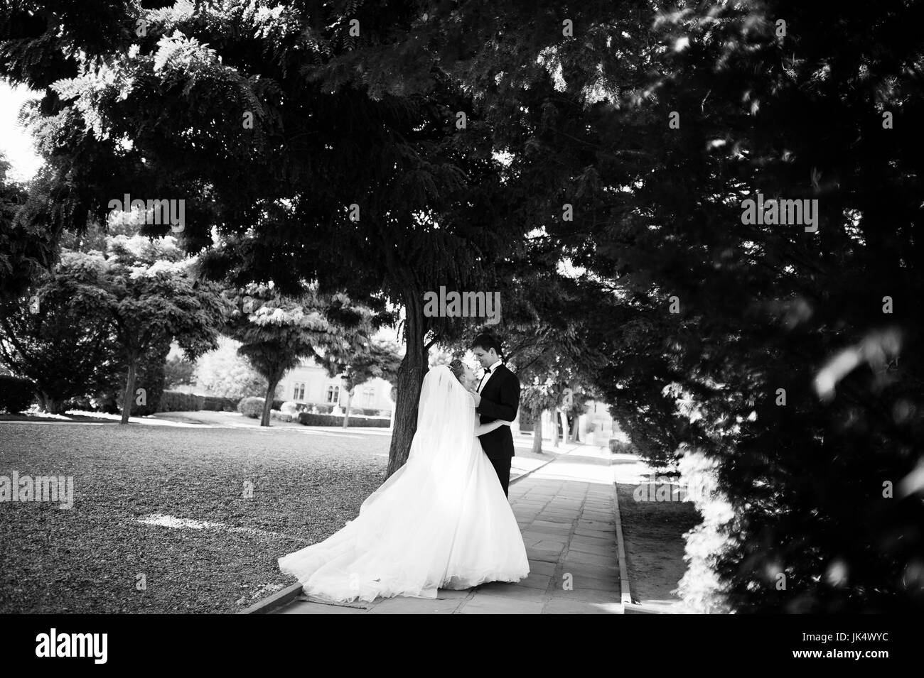 Fantastico matrimonio giovane passeggiate nel parco il giorno delle nozze. Foto in bianco e nero. Foto Stock