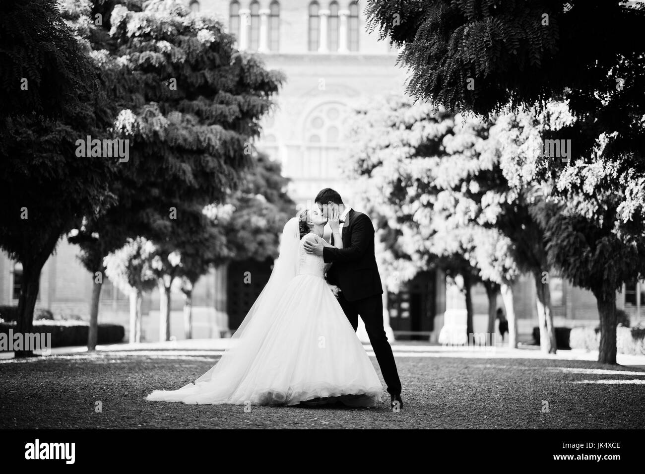 Fantastico matrimonio giovane passeggiate nel parco il giorno delle nozze. Foto in bianco e nero. Foto Stock