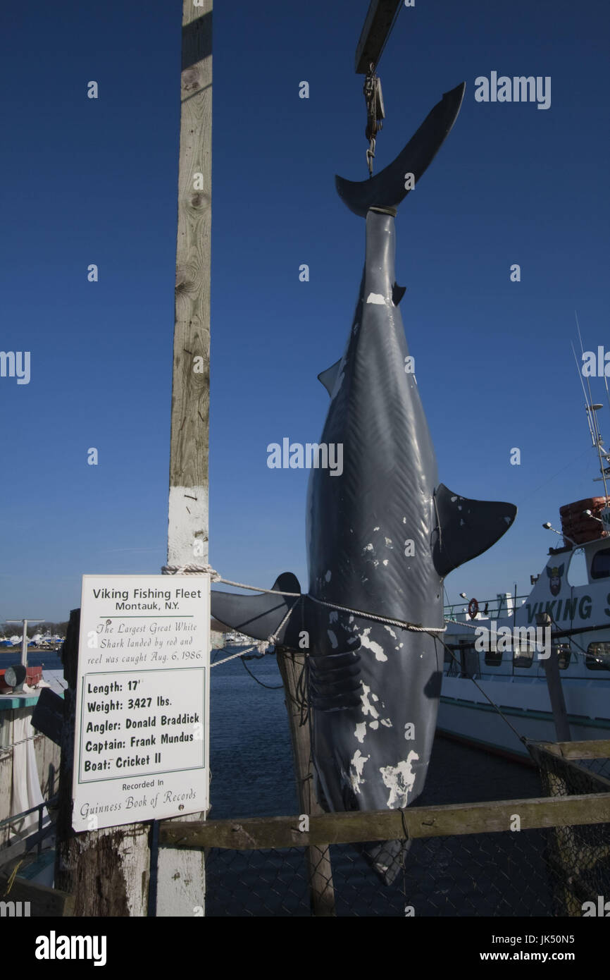 Stati Uniti d'America, New York, Long Island, Montauk, porto di pesca Foto Stock