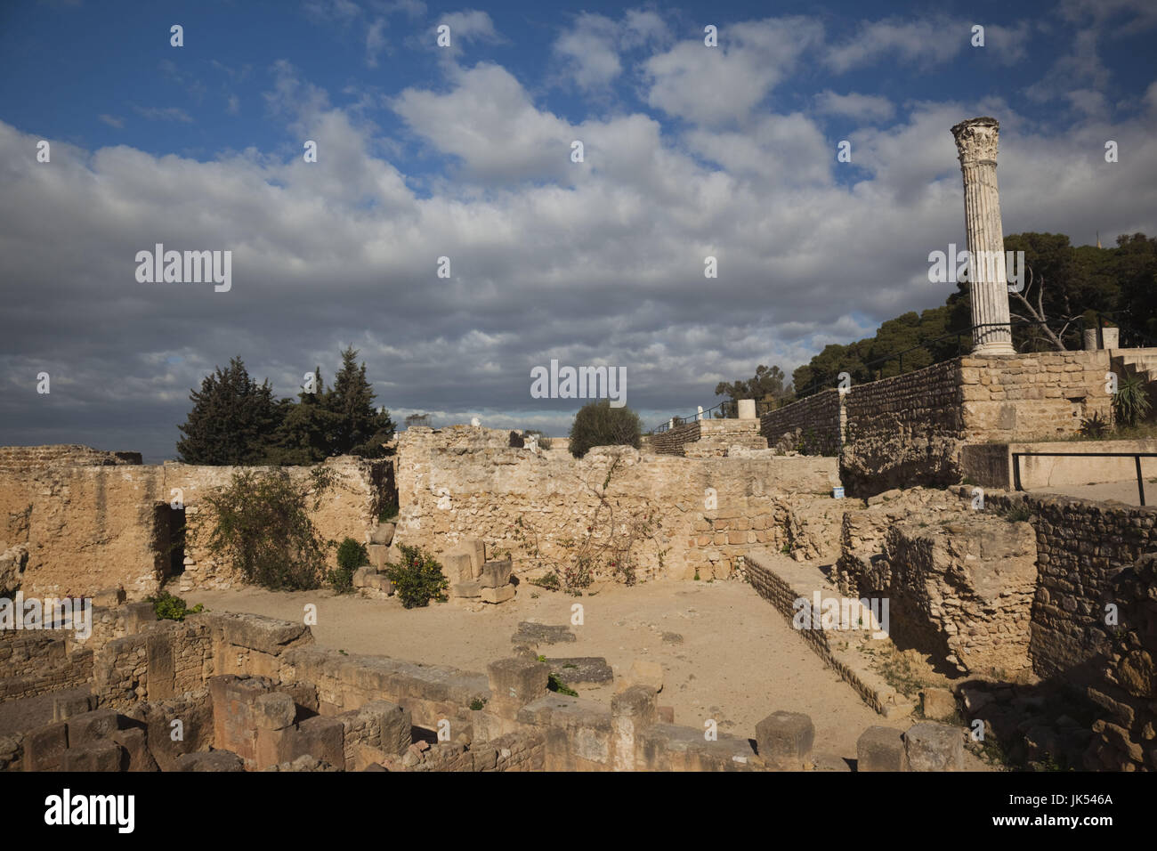 La Tunisia, Tunisi, Cartagine Byrsa Hill, di epoca romana rovine Foto Stock