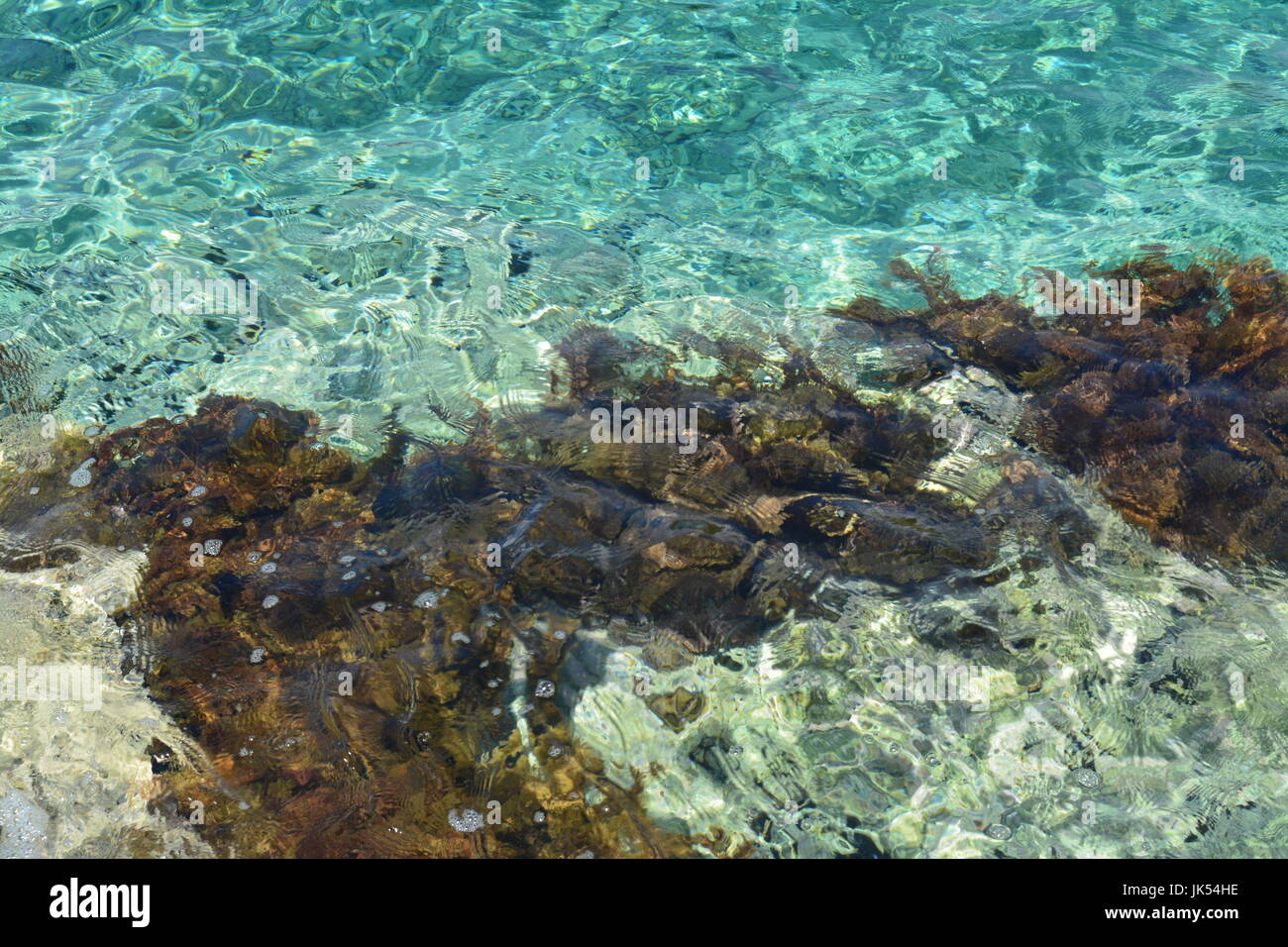 Villaggio costiero in Montenegro vantando porto pittoresco e colorato paesaggio Foto Stock