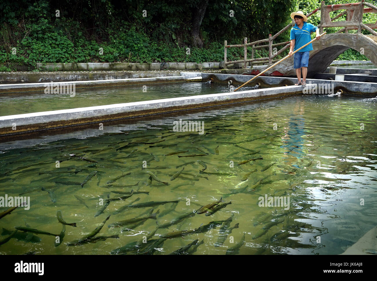 (170722) -- LUANCHUAN, luglio 22, 2017 (Xinhua) -- Un lavoratore lavora accanto ad un laghetto di pesci Zhujia nel villaggio di Shizimiao cittadina nella contea di Luanchuan, centrale cinese della Provincia di Henan, luglio 22, 2017. La temperatura dell'acqua in superficie qui è compreso tra 8 e 20 gradi centigradi, che è adatto per allevare i pesci coldwater. La produzione annuale di valore di coldwater allevamento di pesci nel villaggio di Zhujia raggiunto 15 milioni di yuan RMB con profitto annuo di oltre due milioni di yuan. (Xinhua/Li Un) (lx) Foto Stock
