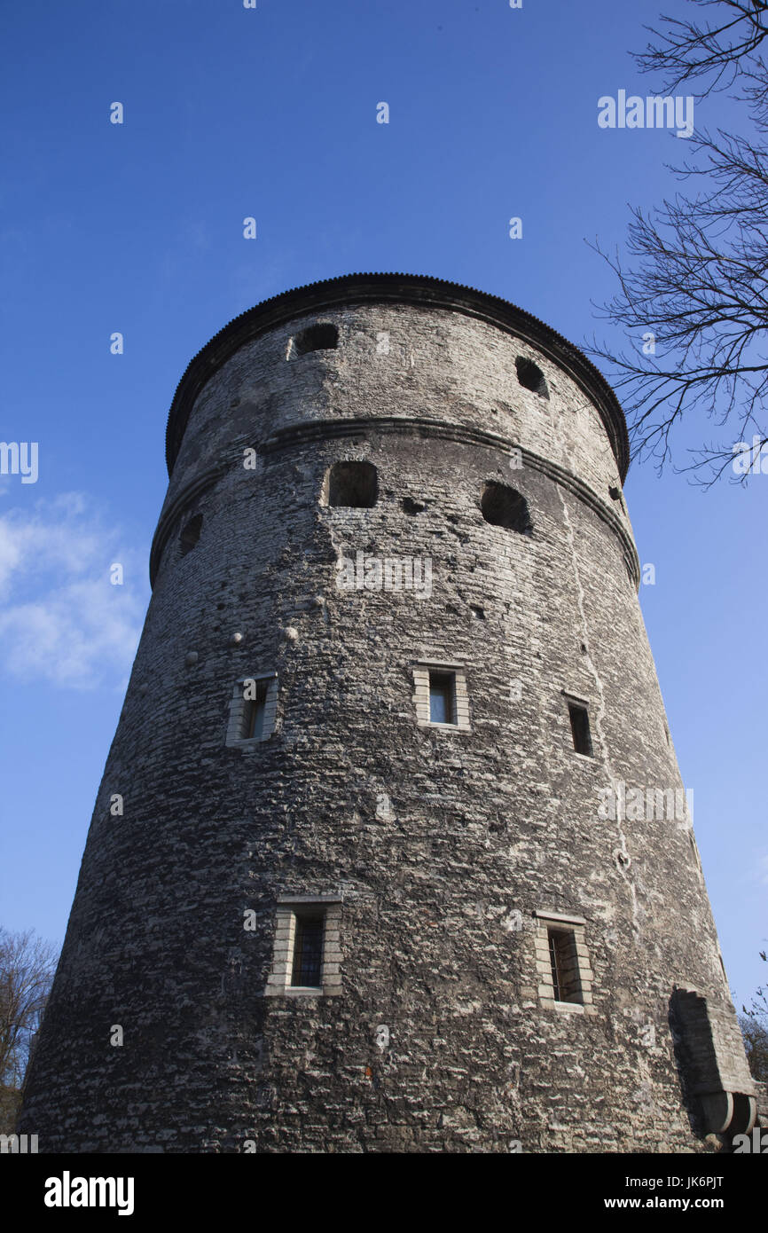 Estonia, Tallinn, Città Vecchia, Toompea, Kiek in de Kok torre, b. 1475 Foto Stock